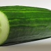 Cucumber... by netkonnexion