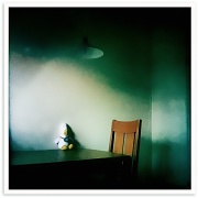 8th Apr 2011 - A Lamp, a Chair and a Duck
