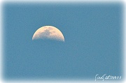 10th Apr 2011 - First Quarter Moon