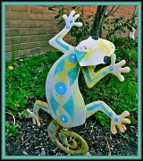 12th Apr 2011 - Leapin' Lizard