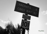 11th Apr 2011 - My 101st Photo Is The Pacific Coast Highway 101