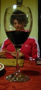 10th Apr 2011 - wine glass