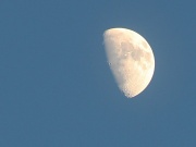 12th Apr 2011 - Moon