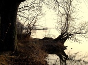 4th Apr 2011 - AT THE LAKE