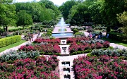 12th Apr 2011 - Rose Garden