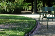 13th Apr 2011 - Spring in the Luxembourg garden #1