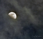 12th Apr 2011 - Last Moon Shot