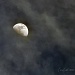 Last Moon Shot by peggysirk