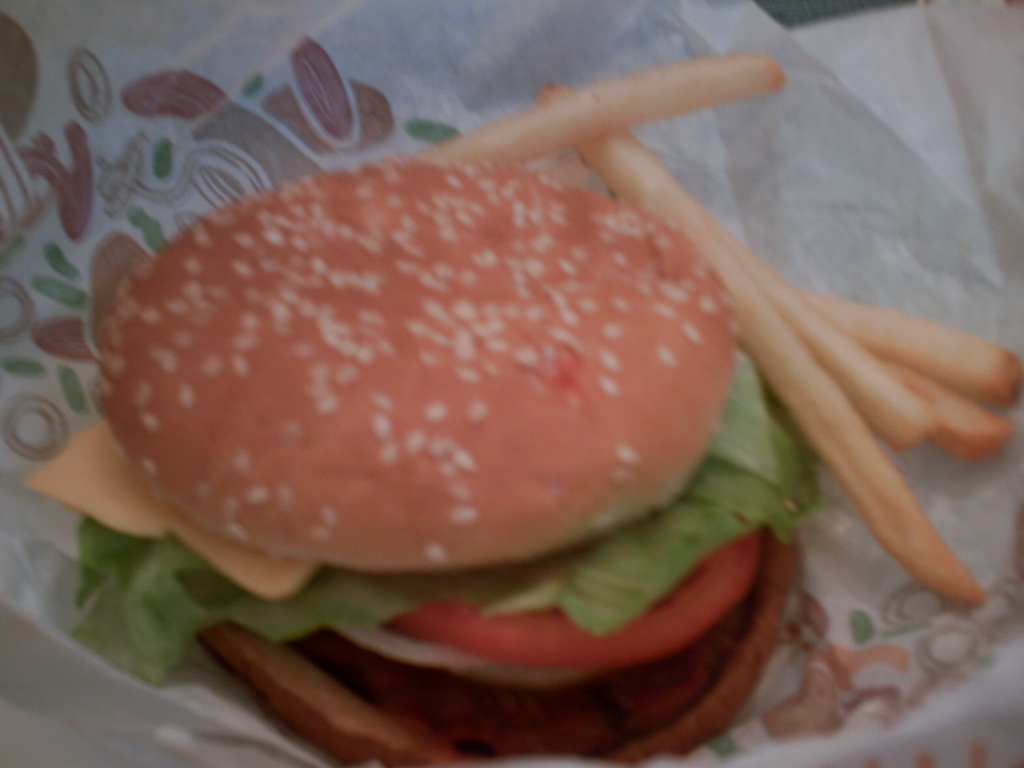 Burger and Fries  4.13.11 by sfeldphotos