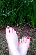 14th Apr 2011 - Happy Feet