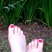 Happy Feet by lisaconrad
