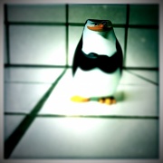14th Apr 2011 - A Penguin in the Kitchen