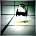 A Penguin in the Kitchen by aikiuser