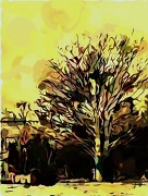 14th Apr 2011 - Golden oak tree