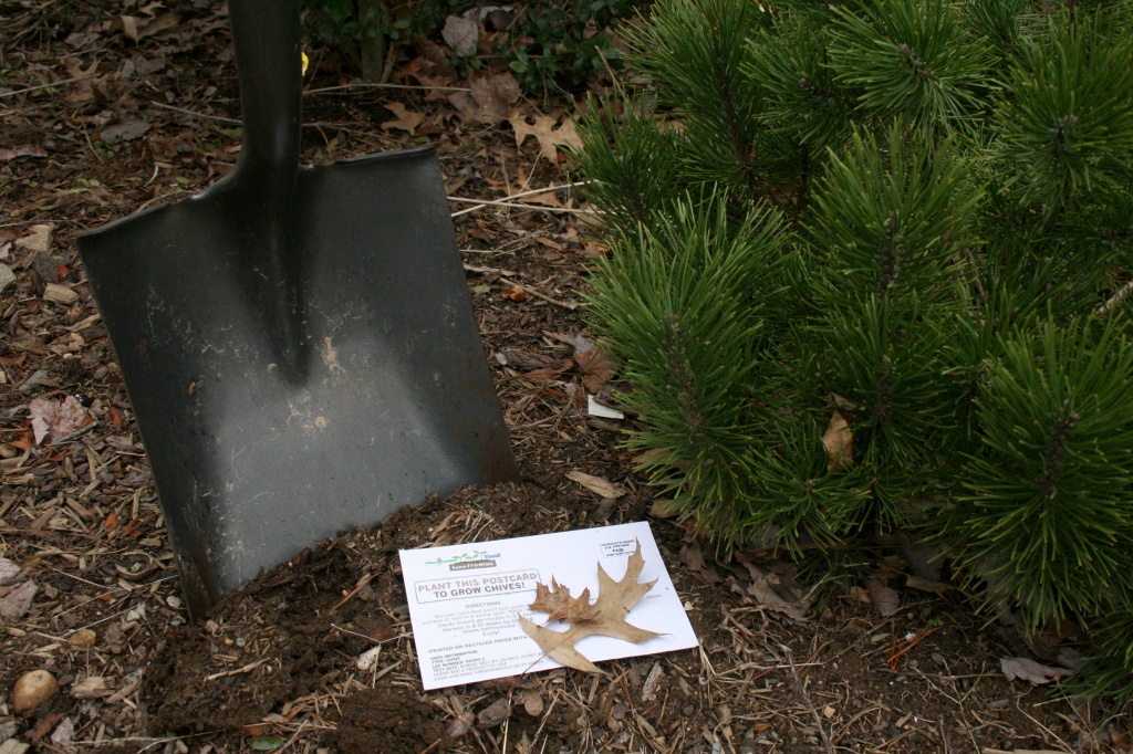 Plant this Postcard by glennharper