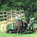 Amish Farmers by vernabeth