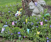 15th Apr 2011 - Garden Peeps