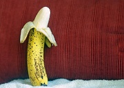 9th Apr 2011 - Chillin' Banana 