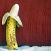 Chillin' Banana  by cjphoto