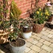 Garden pots by manek43509