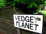 16th Apr 2011 - Wedgey Planet