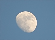 15th Apr 2011 - Blue Moon
