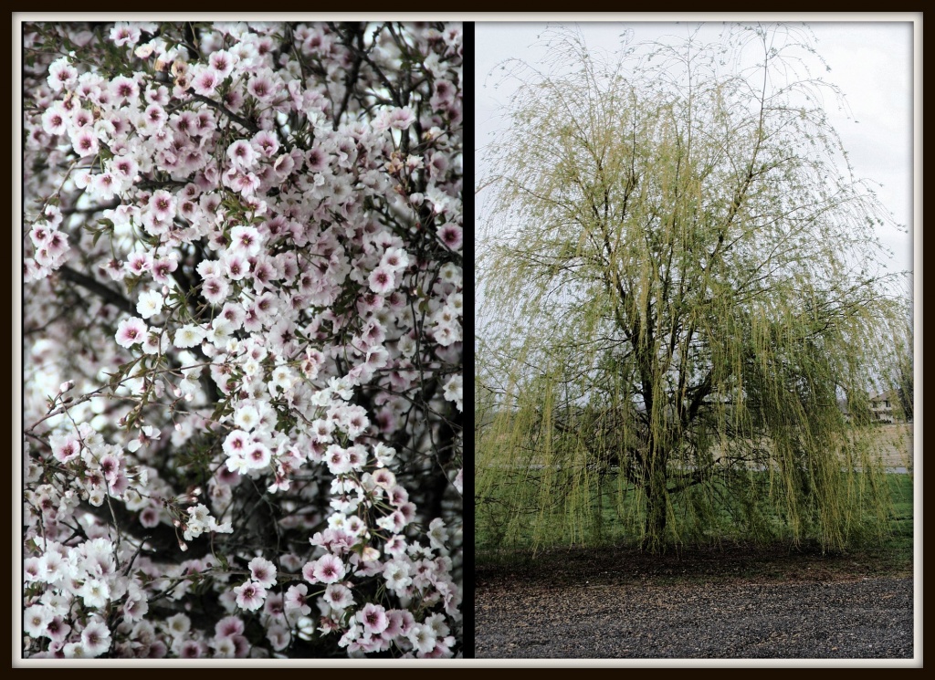 Images of Spring by hjbenson