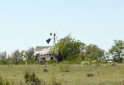 16th Apr 2011 - Old Homestead 2