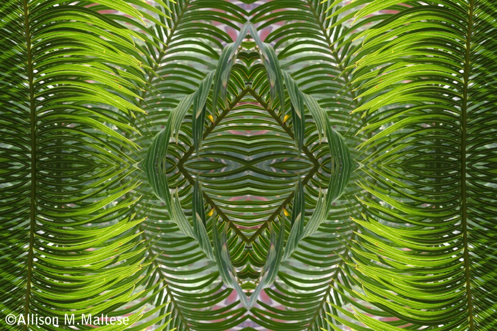 Palm Frond Collage by falcon11