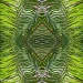 Palm Frond Collage by falcon11