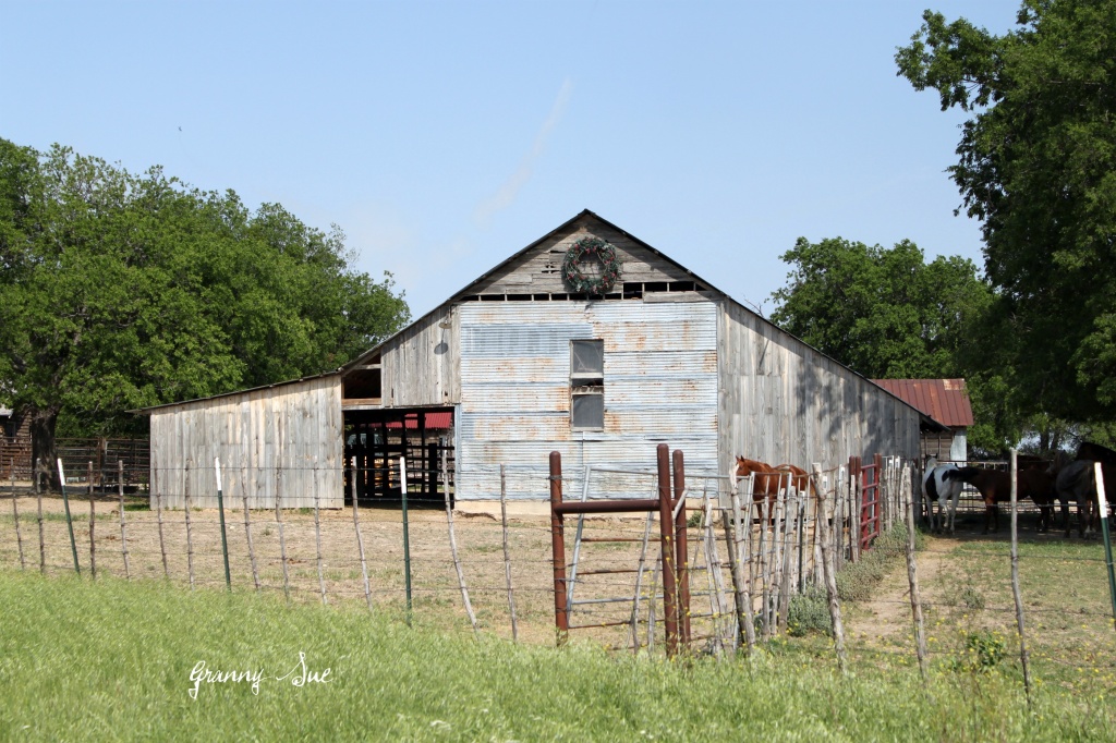 Old barn and horses by grannysue