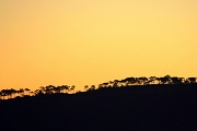 17th Apr 2011 - Sunset simplifies things