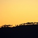 Sunset simplifies things by eleanor