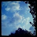Clouds & Trees by mattjcuk