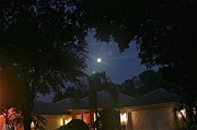 18th Apr 2011 - Moon shot