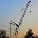 Crane by berend