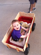 10th Apr 2011 - Wagon Ride