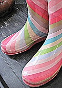 19th Apr 2011 - Rain boots