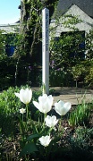 8th Apr 2011 - Peace Pole