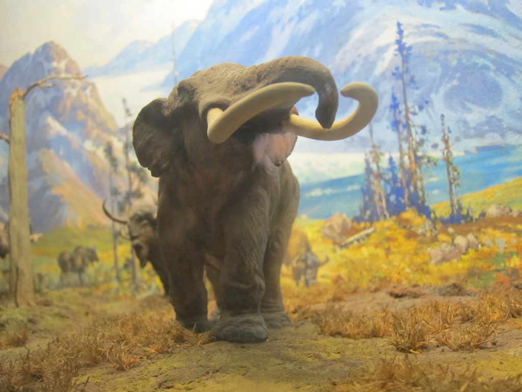 extinct animal exhibit by pleiotropy
