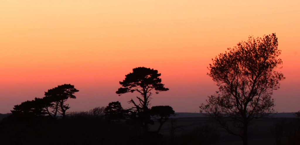 Cornish Spring Sunset by netkonnexion