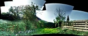 22nd Apr 2011 - Garden panorama