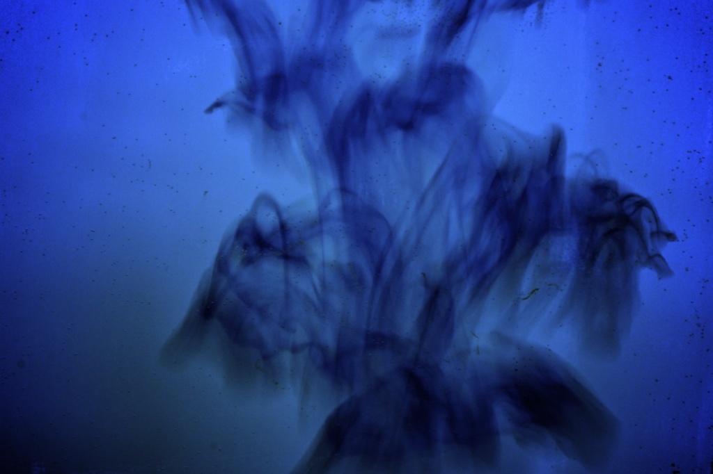 Blue Abstract by laurentye