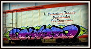 22nd Apr 2011 - Rail Car Graffitti