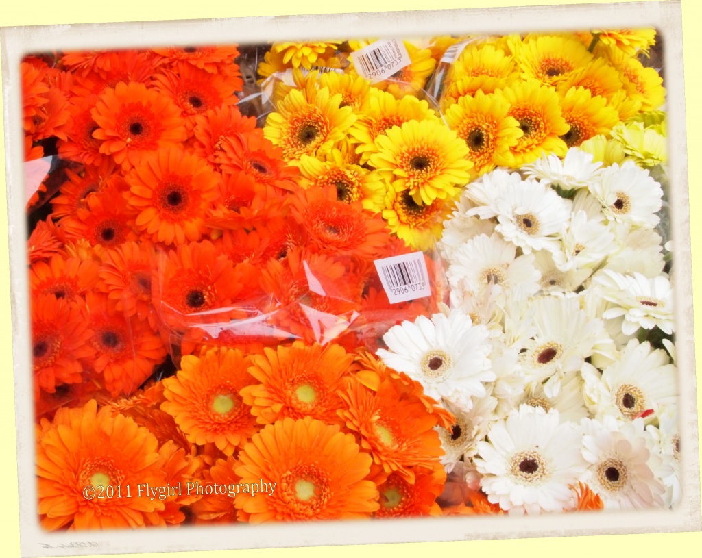 Flowers at the Market by flygirl