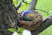 23rd Apr 2011 - World’s Ugliest Easter Egg
