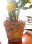 17th Apr 2011 - A plant