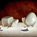 Eggcentric by pixelchix