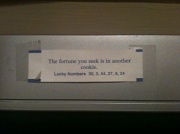 23rd Apr 2011 - A fitting fortune