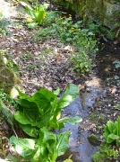 16th Apr 2011 - Cooling Streams